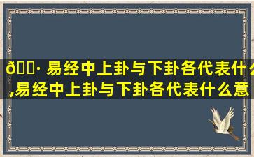 🌷 易经中上卦与下卦各代表什么,易经中上卦与下卦各代表什么意思